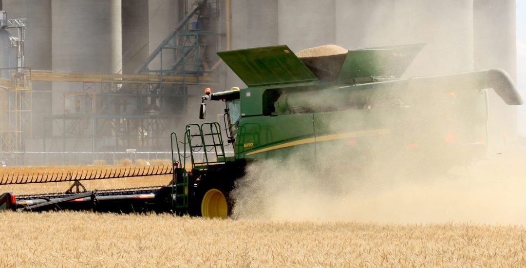 The Carbon Lifecycle for Ten Major Grains