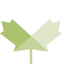 MapleLeaf_Green