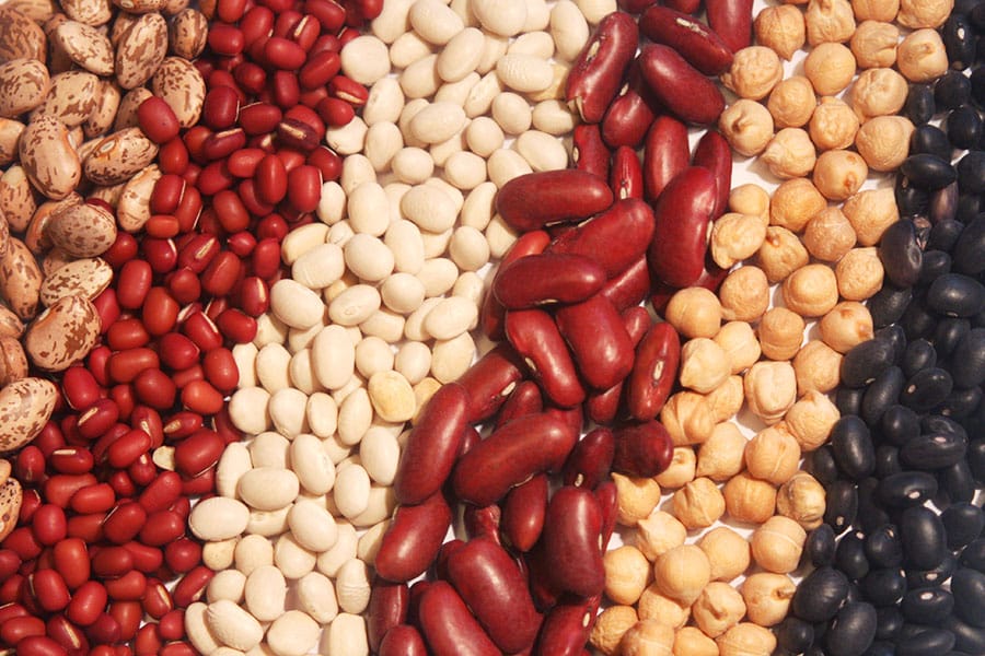 Different Sustainable Crops